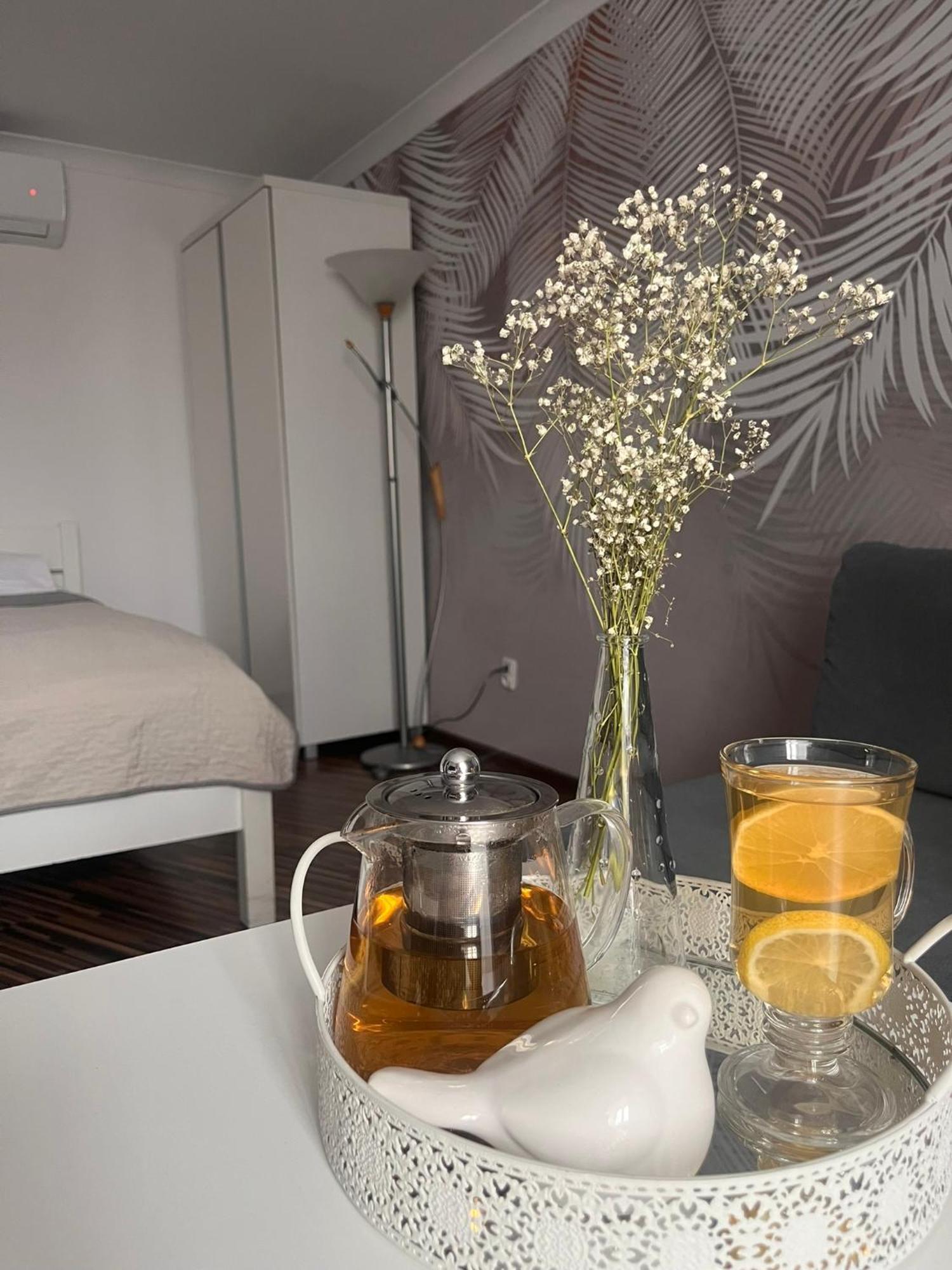 Apartament Na Starowce VII Pszczyna Εξωτερικό φωτογραφία
